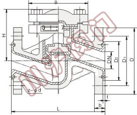 襯氟止回閥,結(jié)構(gòu)圖