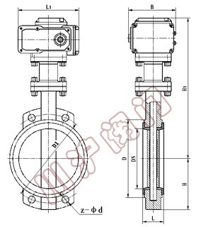 D971電動(dòng)軟密封蝶閥 結(jié)構(gòu)圖