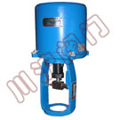  381(361)ֱ�г����ʽ늄�(d��ng)��(zh��)����