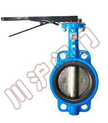 D71x軟密封對夾蝶閥