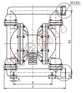 �X�Ͻ��Ӹ�Ĥ�� �Y(ji��)��(g��u)�ߴ�
