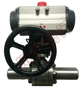 ���L(zh��ng)�͚��(d��ng)�������y ����݆