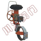 ZMAW���(d��ng)��Ĥ�{(di��o)��(ji��)���y