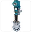 ȼ?x��)�o���Д��y